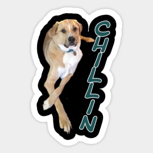 Yellow Labrador chillin Sticker